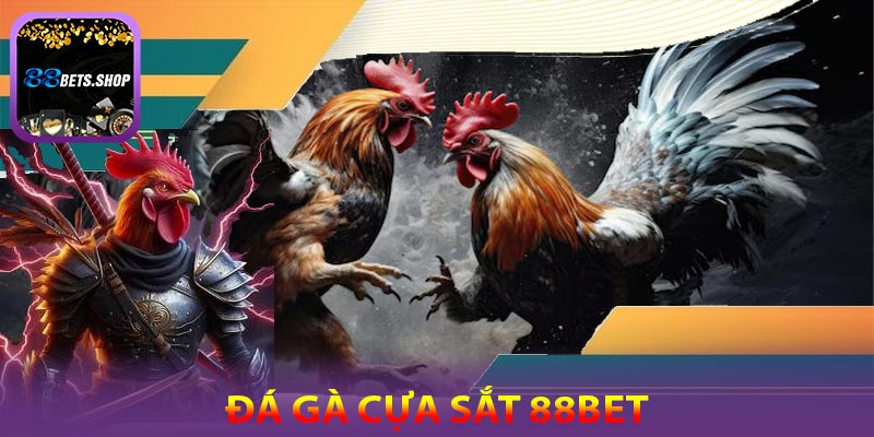 Đá gà cựa sắt