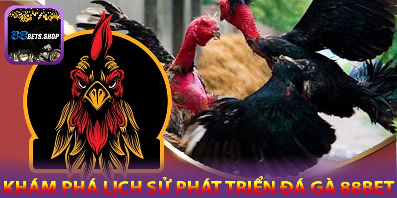 Đá Gà - Một hình thức giải trí cá cược đầy kịch tính