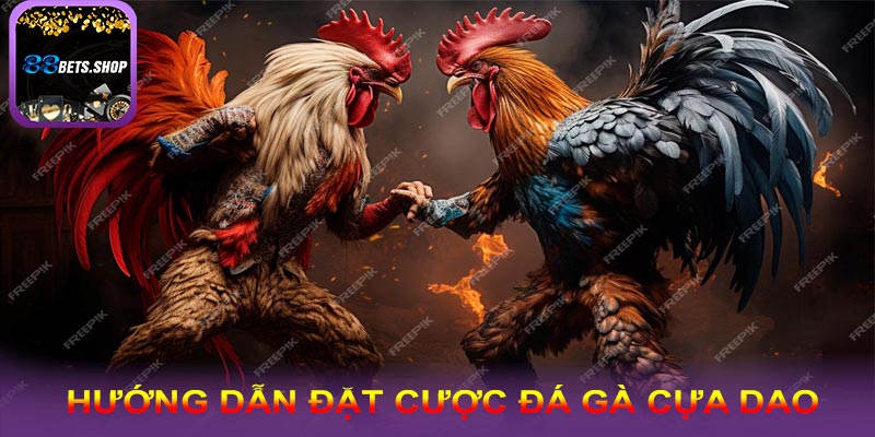 Hướng dẫn đặt cược đá gà cựa dao tại nhà cái 88bet