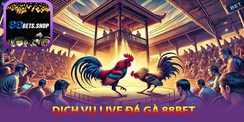 Trực tiếp đá gà 88bet