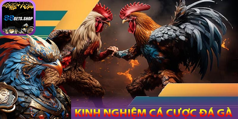 Kinh nghiệm và mẹo soi kèo cược tại 88bet