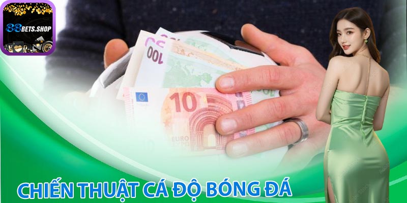 Chiến thuật cá độ bóng đá hiệu quả dành cho anh em tân thủ